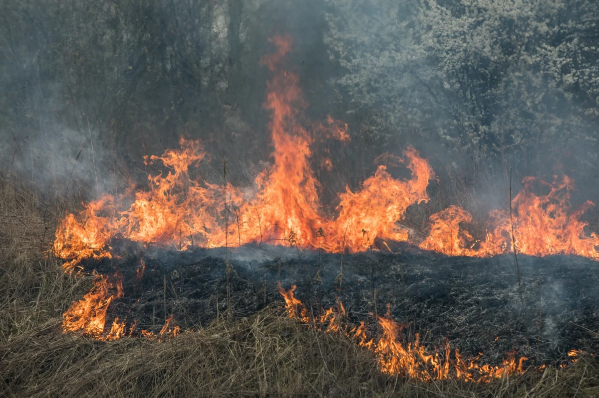 Już 2413 pożarów traw i nieużytków rolnych zanotowano w Polsce od początku 2025 roku do 24 lutego. W tym samym okresie 2024 roku były 572 takie zdarzenia - podała Komenda Główna PSP. W miniony weekend doszło do 749 pożarów.