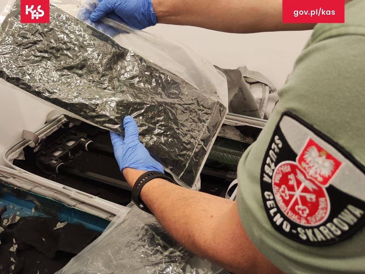45-letni obywatel Tanzanii w podwójnych ściankach swojej walizki ukrył 9,5 kg heroiny, morfiny i innych substancji. Funkcjonariusze Krajowej Administracji Skarbowej udaremnili przemyt podczas kontroli bagażu na lotnisku w podkrakowskich Balicach.