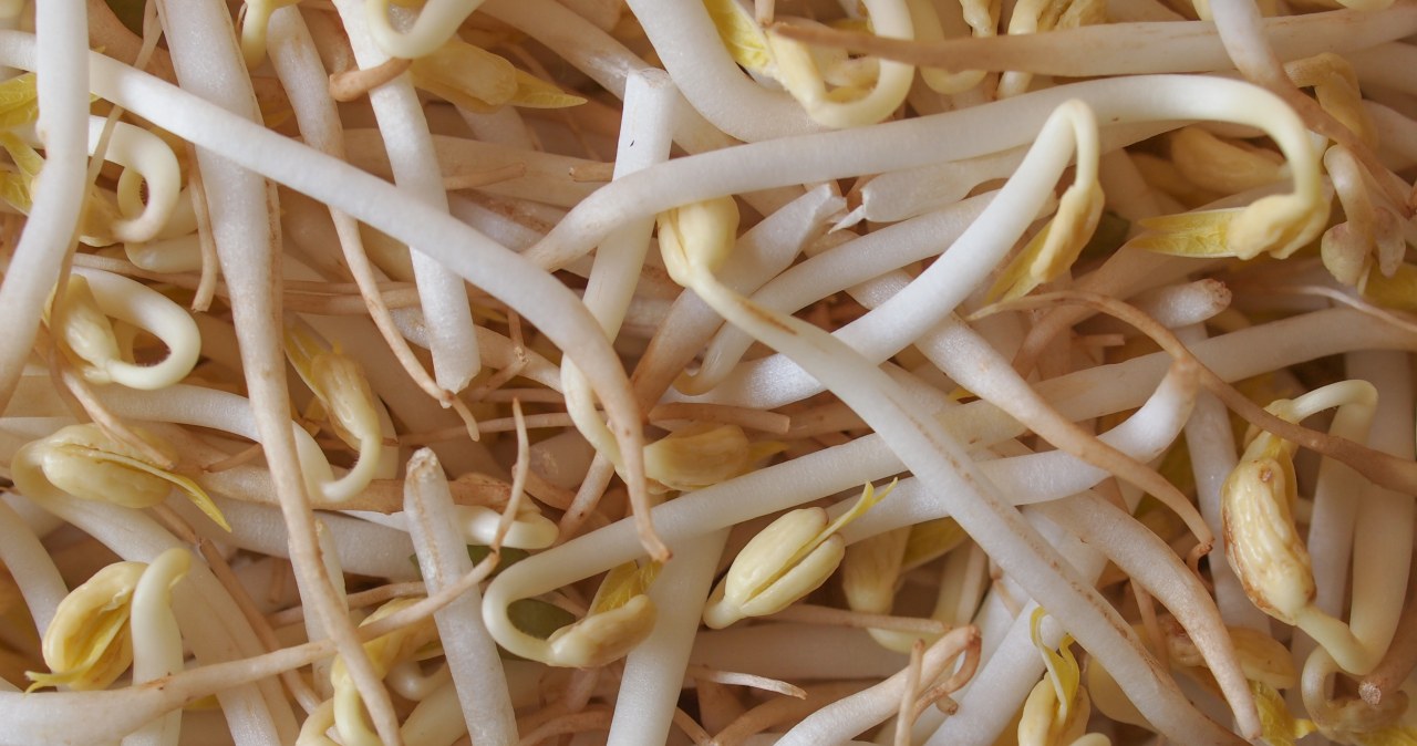 Wystarczy odrobina do kanapki. Wymiatają wolne rodniki, wspomagają serce