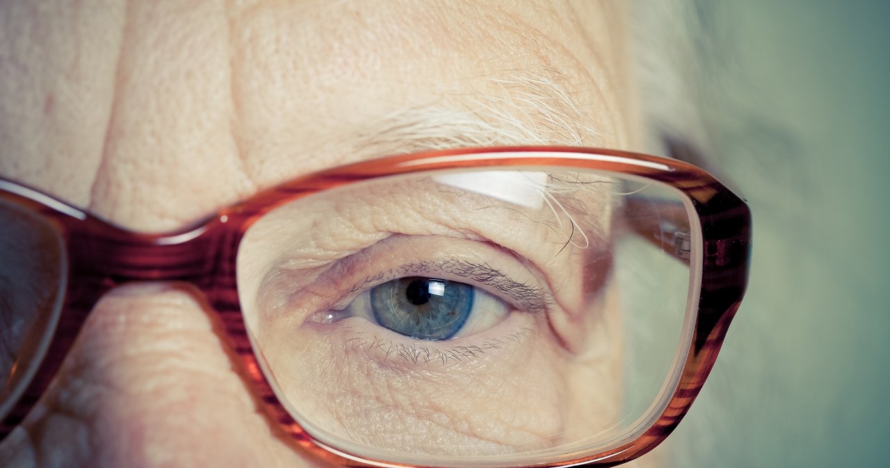 Czy ludzie odzyskają wzrok dzięki ślimakom jabłkowym?