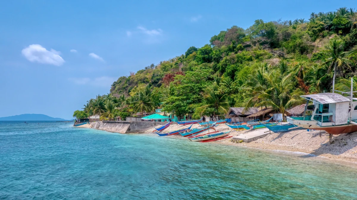 Tragedia w pobliżu wyspy Verde w północno-zachodniej części Filipin. Dwóch rosyjskich turystów zginęło podczas nurkowania w oceanie. Jedno z ciał wyłowionych przez służby ratunkowe było pozbawione ręki, co wskazuje na możliwy atak rekinów.
