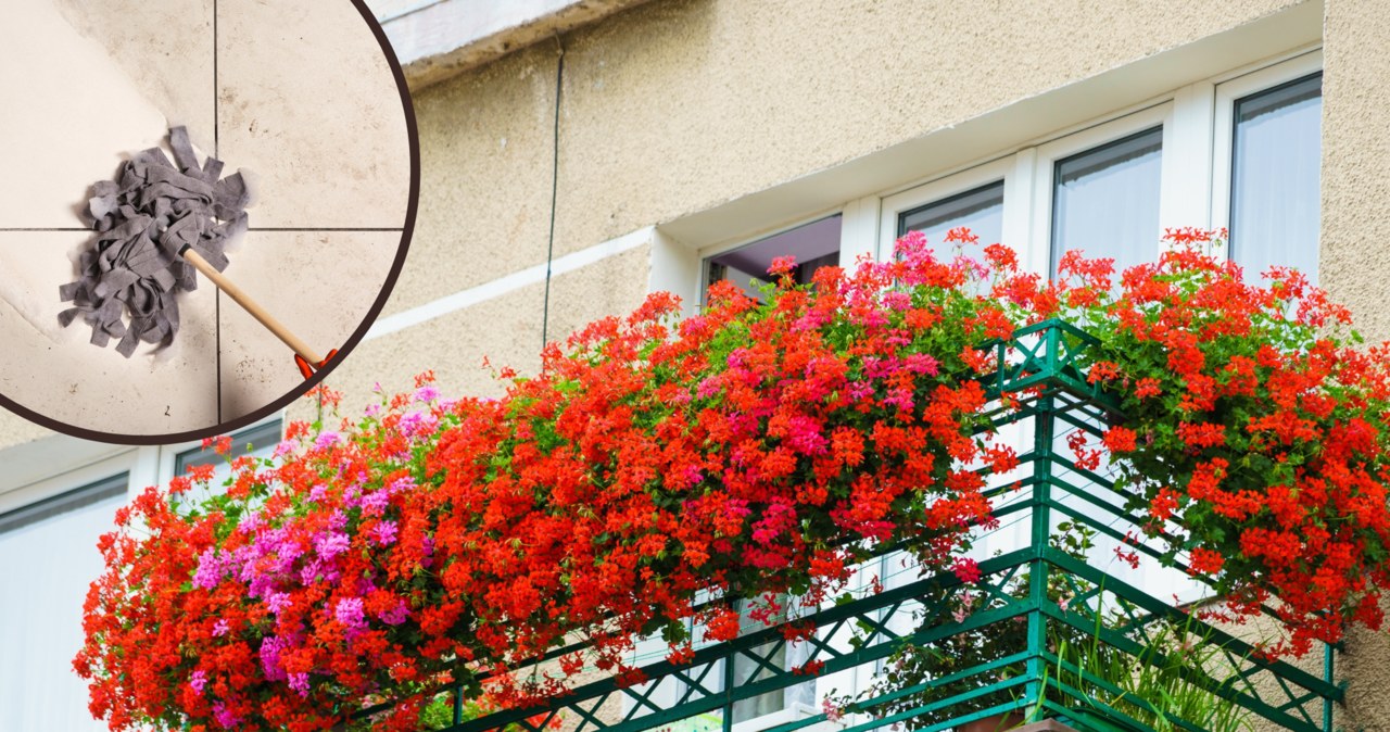 Tak gwałtownie wyczyścisz balkon po zimie. Wystarczy prosta mieszanka