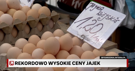 Rekordowo wysokie ceny jajek