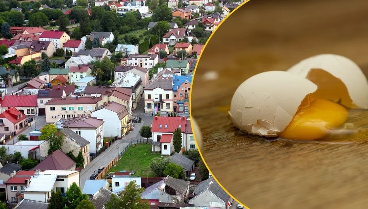 39-latek, który w styczniu 2024 r. obrzucił jajkami burmistrza Iłży (Mazowieckie), został prawomocnie skazany na pięć miesięcy więzienia. Ma też zapłacić byłemu włodarzowi miasta 3 tys. zł zadośćuczynienia. Sprawca nagrywał całe darzenie, a filmik umieścił w mediach społecznościowych.