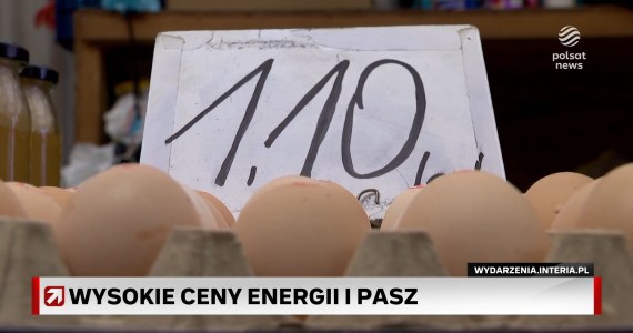 Drogie jajka. Powodem wysokie ceny energii, pasz oraz ptasia grypa