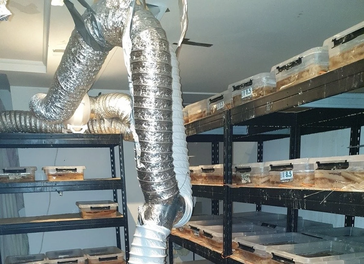 2 tony klefedronu oraz aparaturę i substancje chemiczne służące do produkcji środków odurzających przejęli policjanci, którzy zlikwidowali fabrykę działającą koło Słupska (Pomorskie). Zatrzymano 5 mężczyzn. 