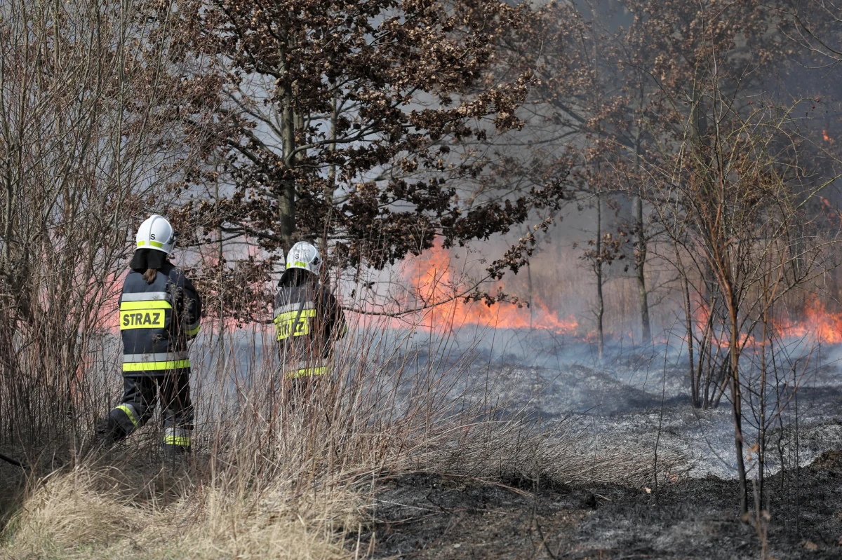 Wypalanie traw powoduje w Polsce co roku straty przekraczające 20 mln zł. Takich pożarów było w ubiegłym roku ponad 21 tys. Zginęło w nich pięć osób, a 36 zostało rannych – wynika z danych Państwowej Straży Pożarnej. W środę w Kielcach służby zainaugurowały kampanię „Stop wypalaniu traw”, apelując o zaprzestanie tego procederu.
