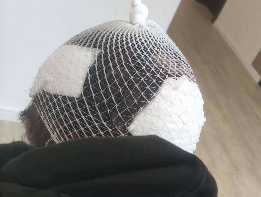 /Komenda Miejska Policji w Poznaniu /Policja