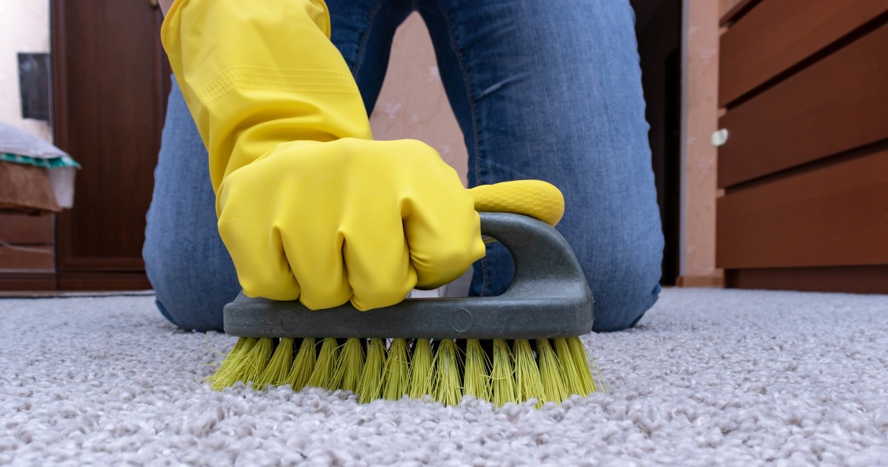 Wyczyść tym dywan z długim włosiem. Będzie czysty i puszysty jak chmurka