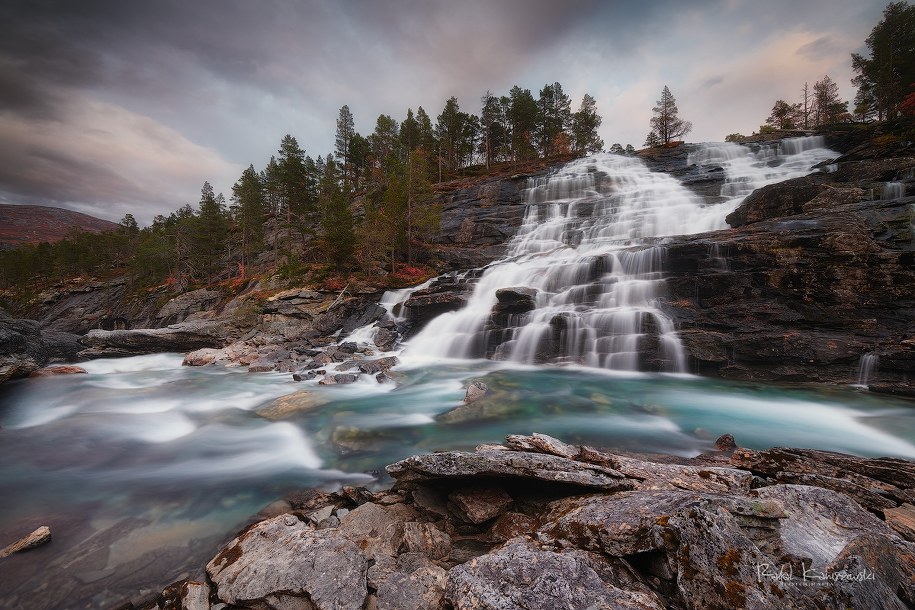 /Rafał Kaniszewski /