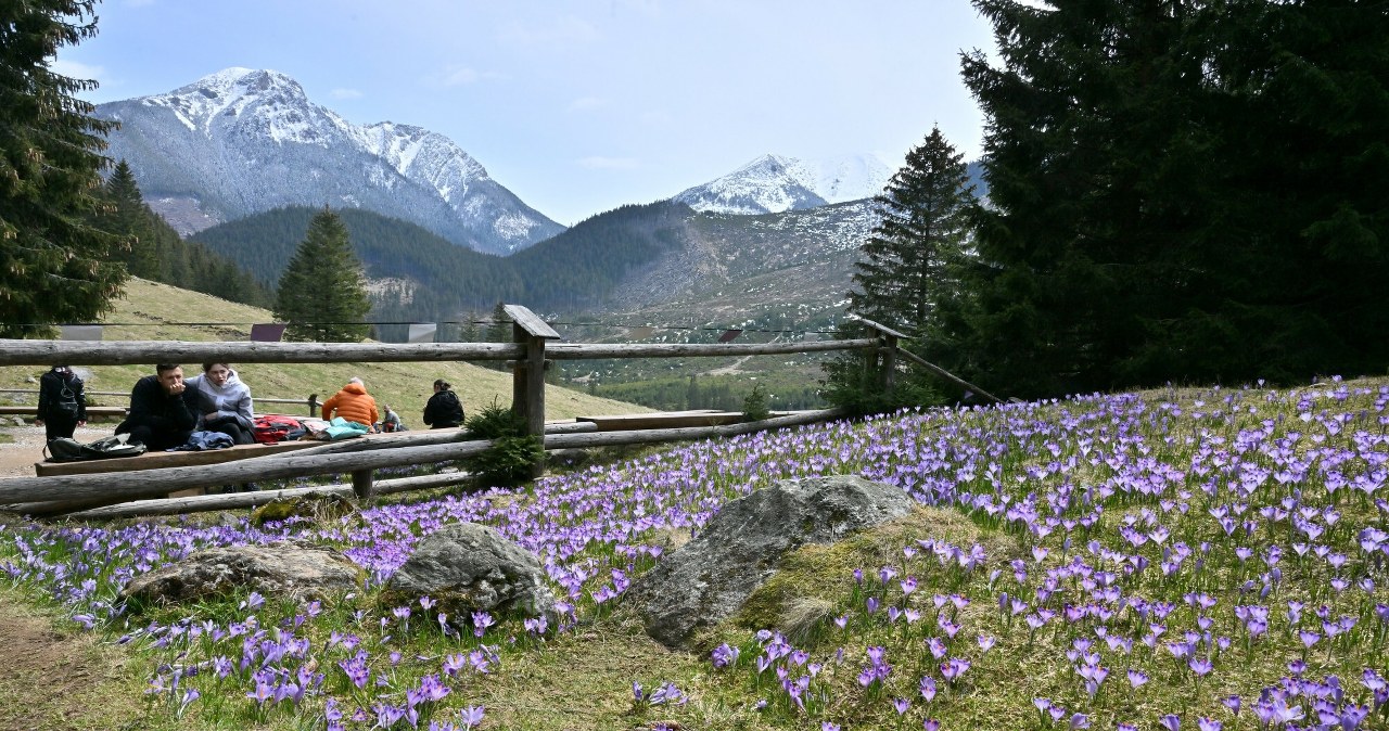 Miał być srogi mróz i śniegu po kolana. W pogodzie doszło do wielkiej zmiany