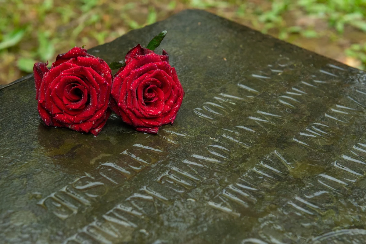 Mieszkańcy Ratowic na Dolnym Śląsku oddadzą w sobotę materiał genetyczny do badań, które mają pomóc w identyfikacji ofiar UON i UPA w Puźnikach na Ukrainie. Materiał będą pobierali specjaliści z Pomorskiego Uniwersytetu Medycznego w Szczecinie. Do identyfikacji ofiar zastosowana zostanie technologia genologii genetycznej. Ekshumacje ofiar mordu z lutego 1945 r. w Puźnikach planowane są na wiosnę tego roku.