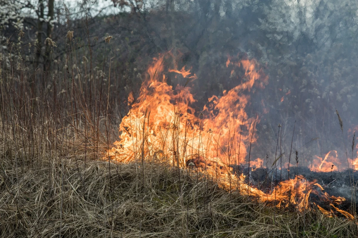 Tylko w piątek w całej Polsce wybuchło 718 pożarów traw, ranne zostały cztery osoby. W tym roku zanotowano już ponad 5 tysięcy takich pożarów. Strażacy apelują o rozwagę i przypominają, że wypalanie traw jest surowo zabronione.