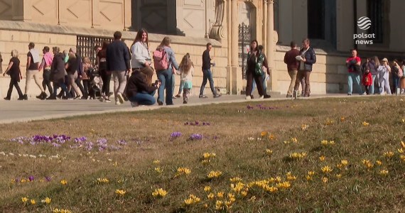 ''Wydarzenia'': Bardzo ciepły marzec. euforia dla ludzi, ale problem dla roślin i kwiatów
