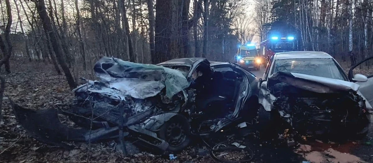 Na ul. Jesiennej w Jaworznie (woj. śląskie) doszło w sobotnie popołudnie do śmiertelnego wypadku. Zginęła 35-letnia kobieta kierująca jednym z samochodów, które się zderzyły. 4-letnie dziecko trafiło do szpitala. 