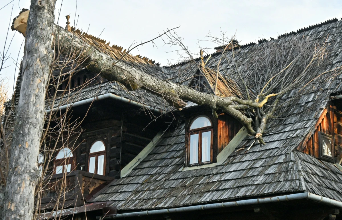 Ponad 90 km/h - tyle osiągają w poniedziałek porywy halnego na Kasprowym Wierchu. Wysokogórska stacja meteorologiczna IMGW poinformowała, że w Tatrach panują trudne warunki pogodowe. Z tego powodu nieczynna jest kolejka linowa na szczyt oraz wyciąg krzesełkowy w Kotle Gąsienicowym. Dla powiatu tatrzańskiego wydano ostrzeżenia drugiego stopnia.