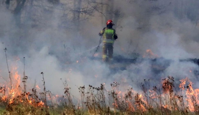 Tragedia w Małopolsce. Ciało seniora znaleziono na łąkach