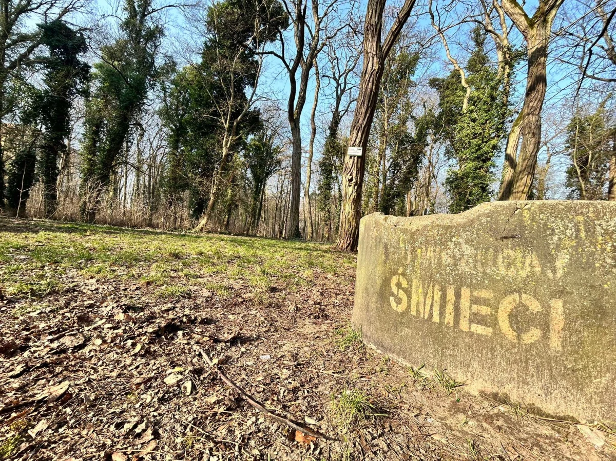 Młodzi i trochę starsi, uczniowie, studenci, także ci z Uniwersytetu Trzeciego Wieku ruszają w tym tygodniu w las. W Szczecinie wystartował Tydzień Czystego Lasu. W akcji chodzi o to, by posprzątać śmieci, jakie zalegają wśród drzew, a jest ich niestety coraz więcej.