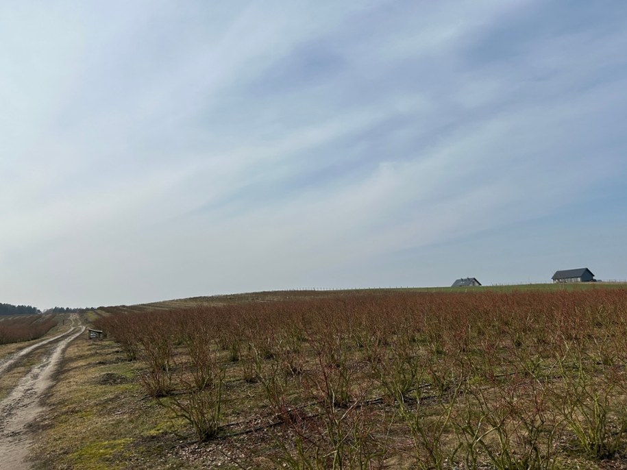 /Stanisław Pawłowski /RMF FM