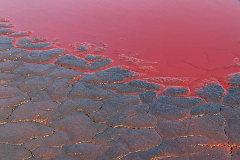 Coś dziwnego dzieje się w Iranie. Plaża spłynęła czerwienią