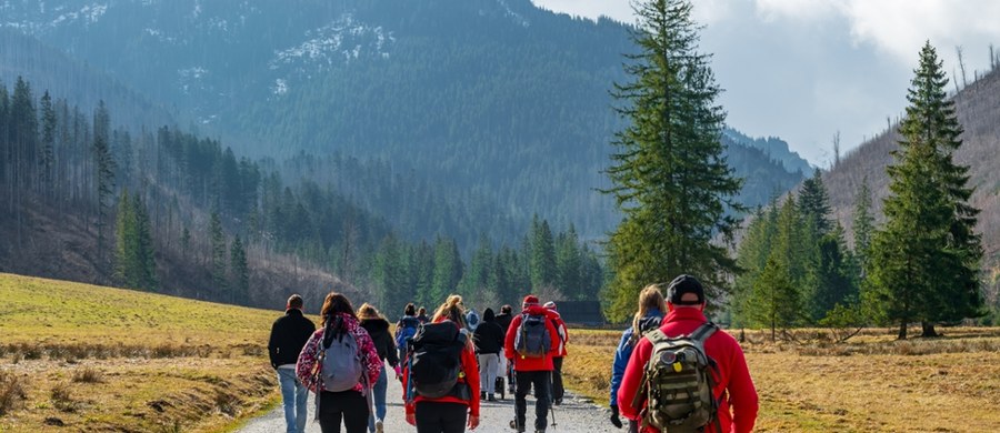 Podczas ostatniej akcji sprzątania w Tatrzańskim Parku Narodowym (TPN) zebrano ponad 3 kilogramy śmieci z Doliny ku Dziurze, szlaku o długości niecałego kilometra. TPN apeluje do turystów o odpowiedzialność i zabieranie ze sobą odpadków.