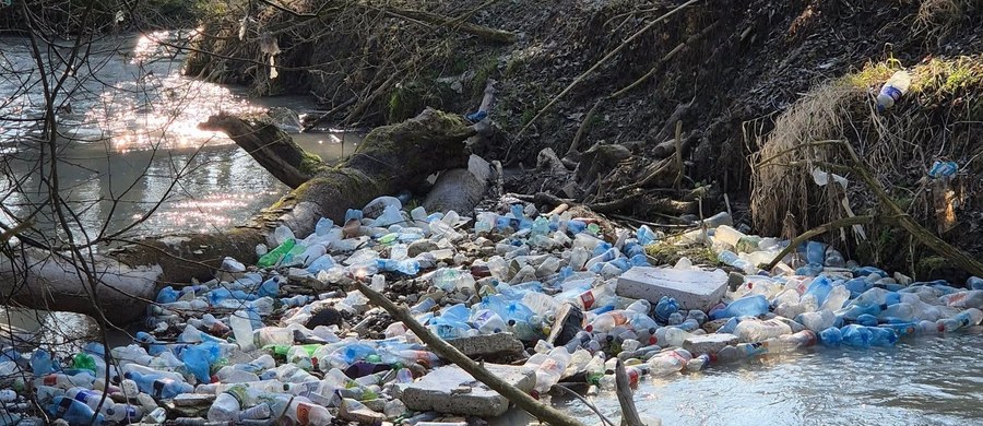 Puszki, butelki, plastikowe pudełka, kanistry, lodówki i odpady budowlane - tak od lat wygląda rejon rzeki Prądnik na północy Krakowa w Małopolsce. Społecznicy, którzy regularnie sprzątają to miejsce, znajdują tam tony odpadów. Właśnie po ich apelach w rejonie rzeki zamontowano fotopułapki.