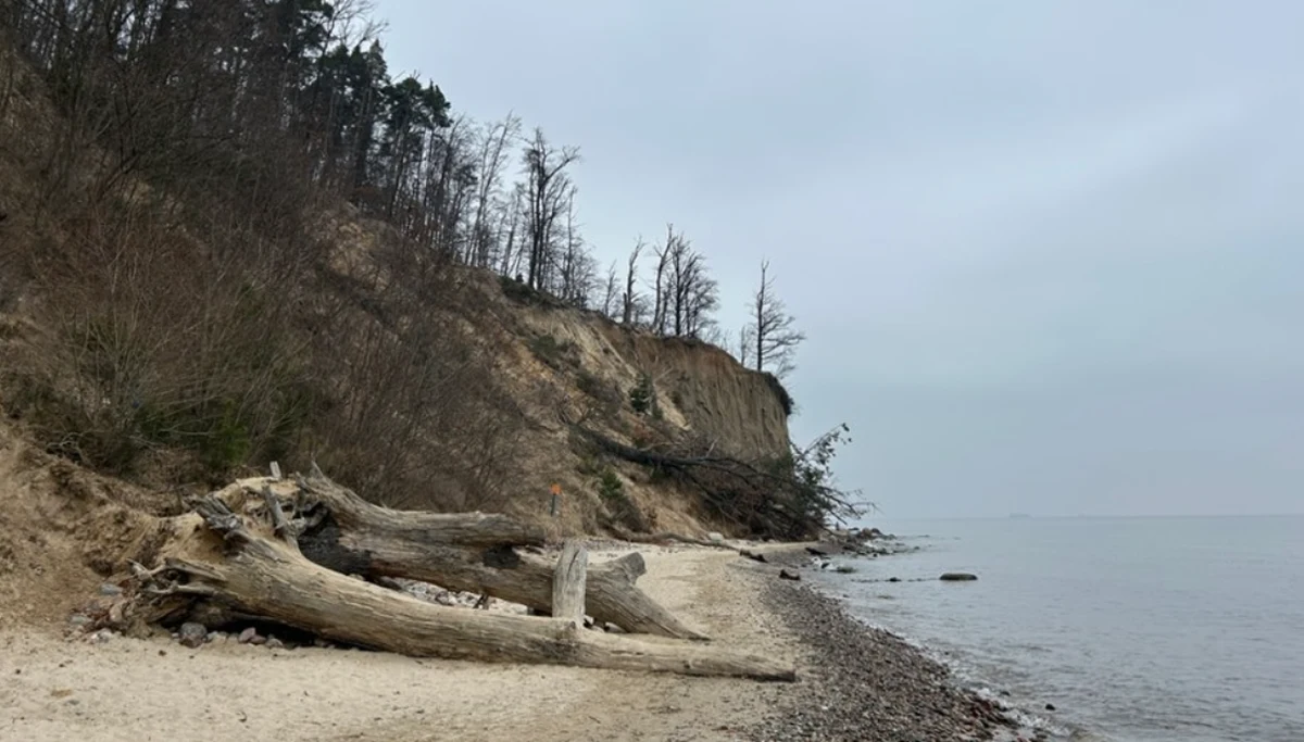 Klif Orłowski - stromy brzeg morski Kępy Redłowskiej w Gdyni - zostanie poddany dogłębnym badaniom. Odwierty mają pomóc w ewentualnych przyszłych działaniach ochronnych. Klif średnio cofa się o metr rocznie. "Jest to duży powód do zmartwień. Martwiliśmy się, że niszczeje, że niestety ubywa go co roku bardzo, bardzo dużo" – mówi jedna ze spacerowiczek w Orłowie.