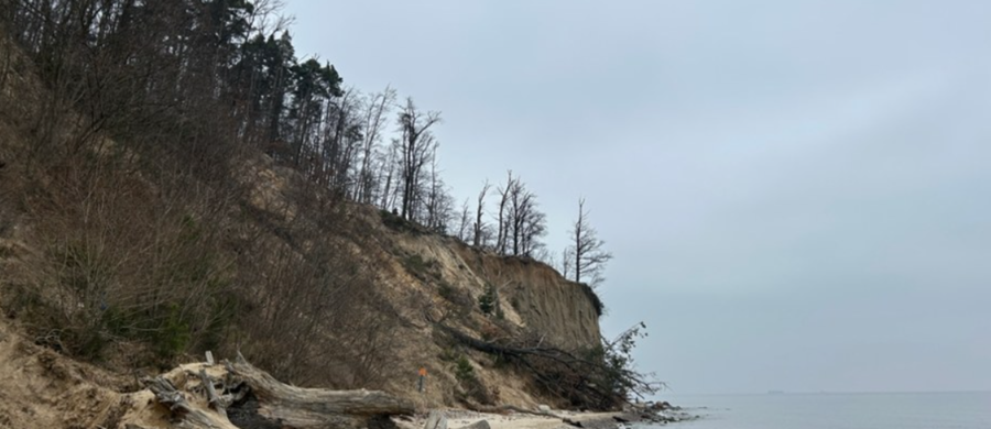 Klif Orłowski - stromy brzeg morski Kępy Redłowskiej w Gdyni - zostanie poddany dogłębnym badaniom. Odwierty mają pomóc w ewentualnych przyszłych działaniach ochronnych. Klif średnio cofa się o metr rocznie. "Jest to duży powód do zmartwień. Martwiliśmy się, że niszczeje, że niestety ubywa go co roku bardzo, bardzo dużo" – mówi jedna ze spacerowiczek w Orłowie.