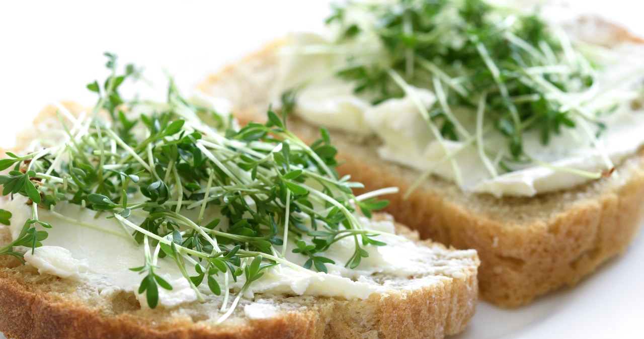 Wysiej w tym terminie. Niepozorne kiełki stworzą bujną łąkę