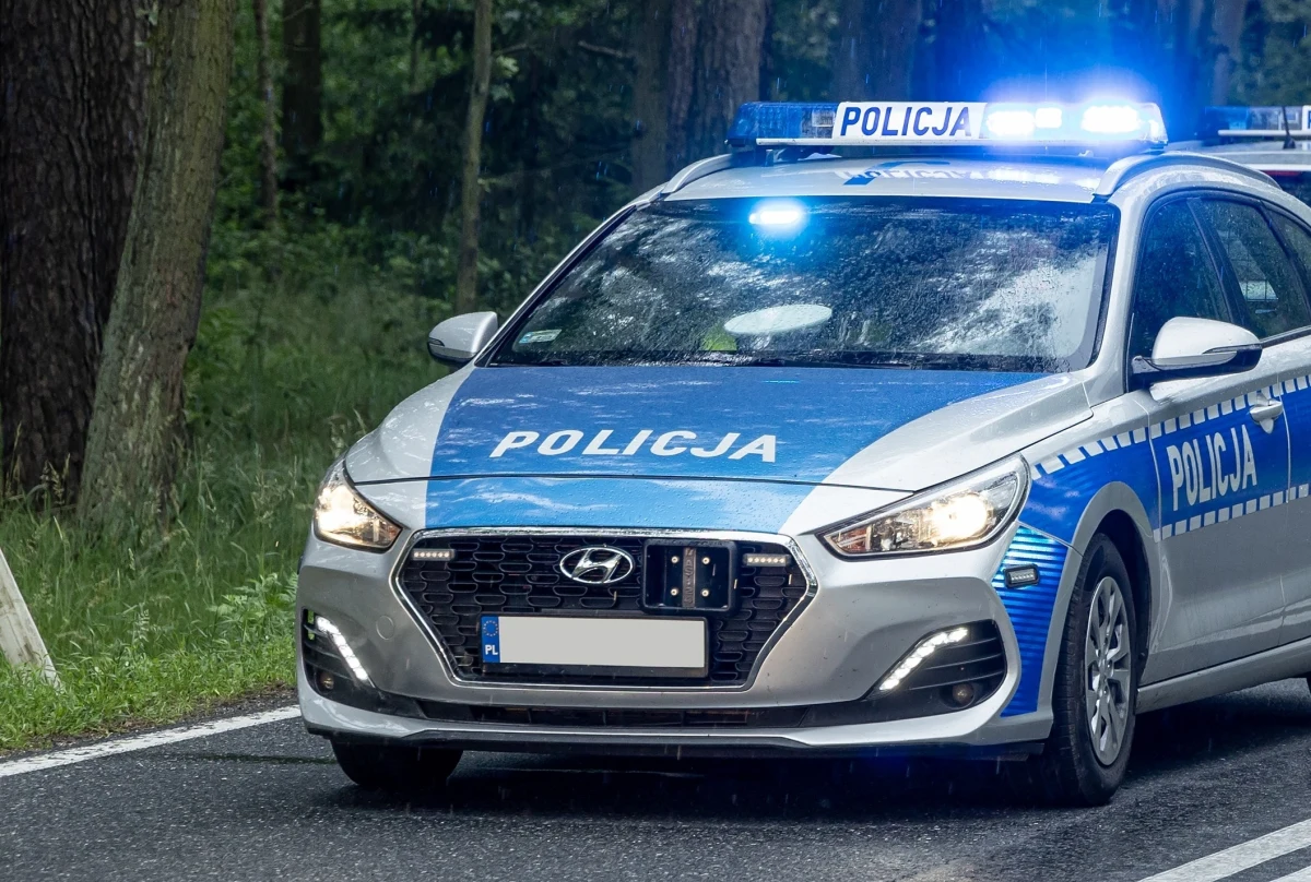 Nastolatek, który pobił swojego rówieśnika w jednym z łódzkich parków, na trzy miesiące trafi do schroniska dla nieletnich. Tak zdecydował sąd rodzinny w Łodzi. Nagranie, w którym widać, jak nastolatkowie znęcają się nad 14-latkiem, krążyło w sieci. 