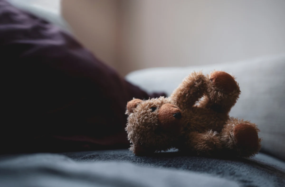 Do Sądu Okręgowego w Rzeszowie trafił akt oskarżenia przeciwko 37-letniej Dorocie G. Mieszkanka okolic Leżajska na Podkarpaciu odpowie za zabójstwo 8-letniego syna. Kobieta miała mu podać najpierw atropinę, która m.in. rozkurcza mięśnie gładkie oskrzeli, a następnie udusić. 