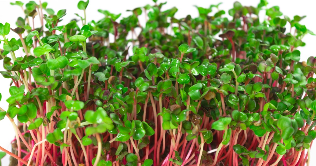 Kupisz w Lidlu i Biedronce. Jedź regularnie, a poprawisz zdrowie i odmłodzisz cerę