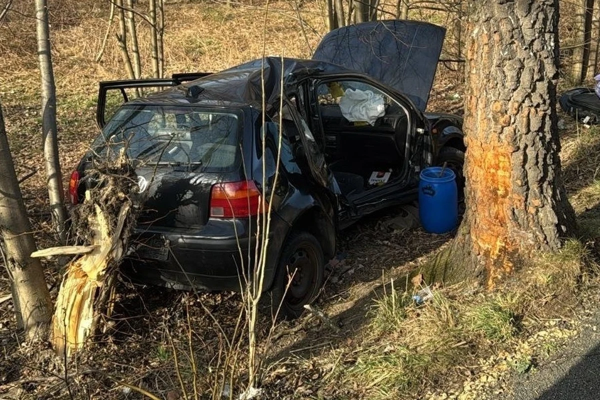 Zmarła 15-latka, która została poważnie ranna w wypadku drogowym w Kętach (woj. małopolskie). Samochód, w którym jechała dziewczyna, z impetem uderzył w drzewo. Poszkodowani zostali także 19-letni kierowca i 14-letni pasażer.