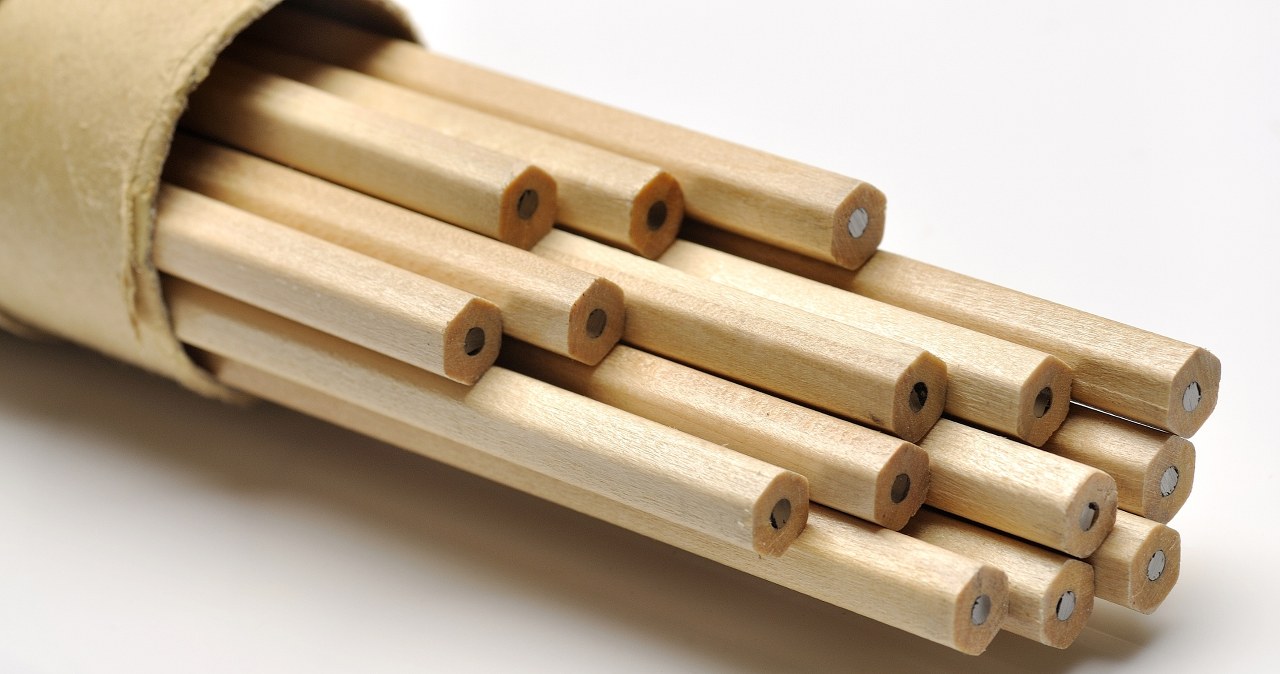 Dlaczego myszy ciągle gryzą? Naukowcy odkryli, co się dzieje w ich mózgu Dlaczego myszy ciągle gryzą? Naukowcy odkryli, co się dzieje w ich mózgu