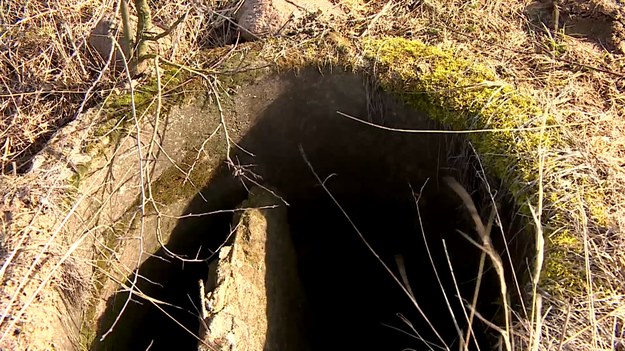 Siatki otaczające uprawy, taśmy od pastuchów elektrycznych, otwarte studzienki melioracyjne. Pola i lasy aż jeżą się od pułapek, które człowiek nieświadomie zastawia na zwierzęta. Każdego roku wpadają w nie dziki, sarny, lisy, daniele a także psy i domowe koty. O tym jak cywilizacja chwyta zwierzęta w swoje sidła Marcin Szumowski.  