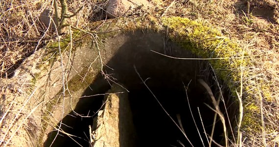 Zabójcze pułapki dla zwierząt w Polsce. Pola i lasy są ich pełne