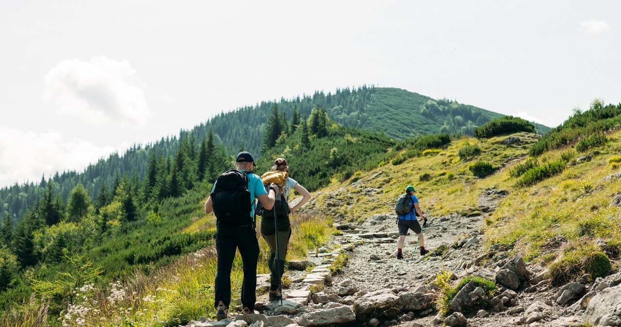 Bez nudy i zadyszki. Te szlaki są idealne na wiosenną wycieczkę z dzieckiem