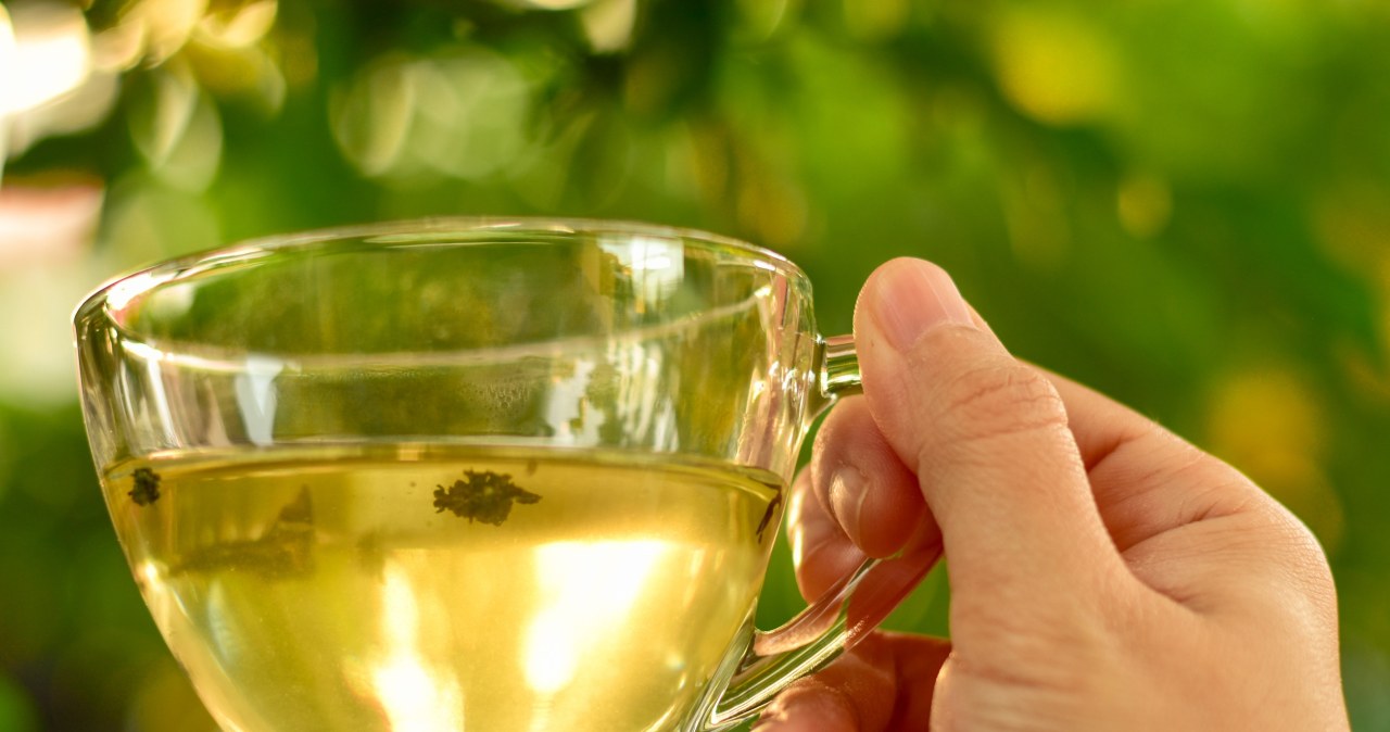 Usprawnia trawienie i metabolizm, zapobiega wzdęciom. Choć gorzka, warto pić z niej napar