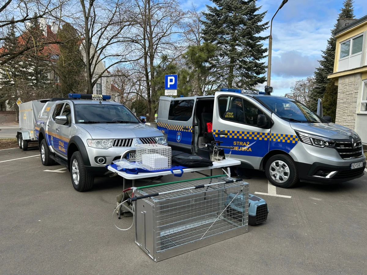 W olsztyńskiej straży miejskiej został powołany referat do spraw zwierząt. Zespół dziesięciu funkcjonariuszy będzie zapewniał całodobowy patrol interwencyjny.