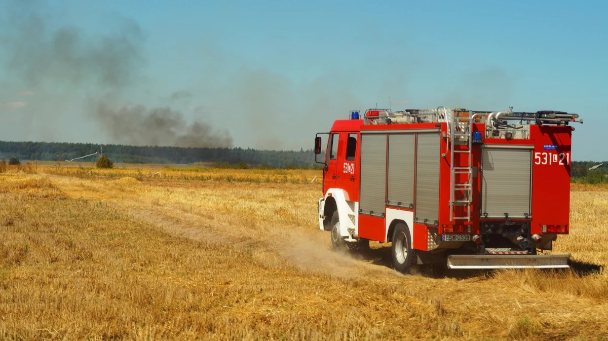 Dramatyczna statystyka początku wiosny w Łódzkiem: ponad 370 pożarów traw tylko w tym roku. Ogień strawił ponad 110 ha łąk, pastwisk i innych terenów, niszcząc wszystko do gołej ziemi.
