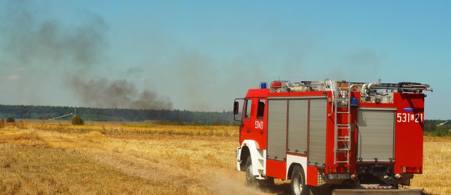 Dramatyczna statystyka początku wiosny w Łódzkiem: ponad 370 pożarów traw tylko w tym roku. Ogień strawił ponad 110 ha łąk, pastwisk i innych terenów, niszcząc wszystko do gołej ziemi.