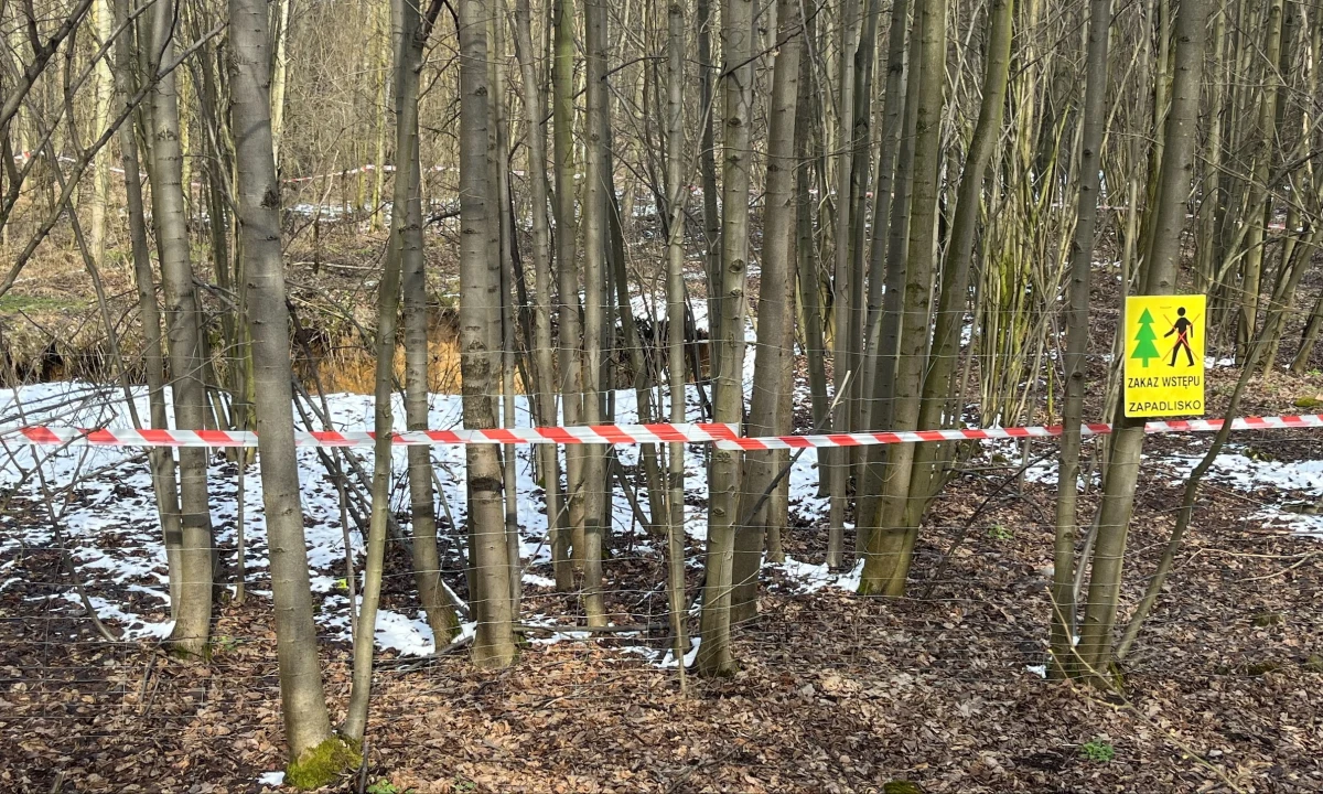 Blisko sto miejsc, w których mogą utworzyć się zapadliska, ujawnia raport Centrum Geozagrożeń Państwowego Instytutu Geologicznego - Państwowego Instytutu Badawczego. Na specjalnej mapie Bolesławia koło Olkusza w Małopolsce jako zagrożone zaznaczono tereny przy cmentarzu, kościele, szkole czy markecie.