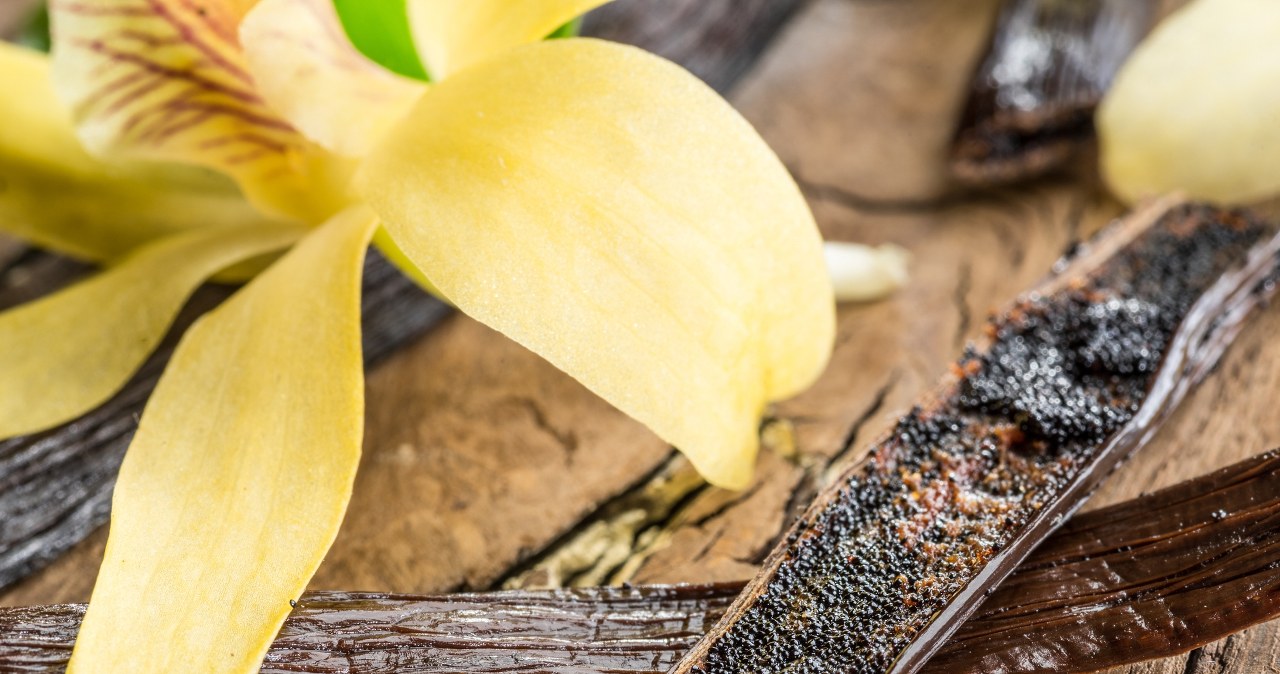 Przyprawa, którą rzadko kupujemy. “Czarne złoto” pomaga schudnąć i wzmacnia mózg