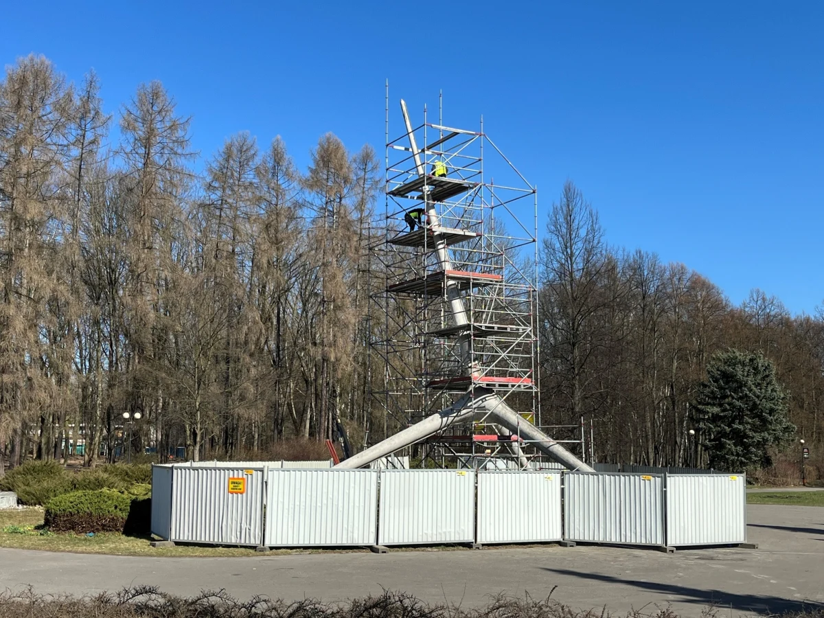 Głowa jest już gotowa. Teraz czas na szyję i pozostałe elementy. Trwa renowacja Żyrafy w Parku Śląskim w Chorzowie. Rzeźba ma już 66 lat.