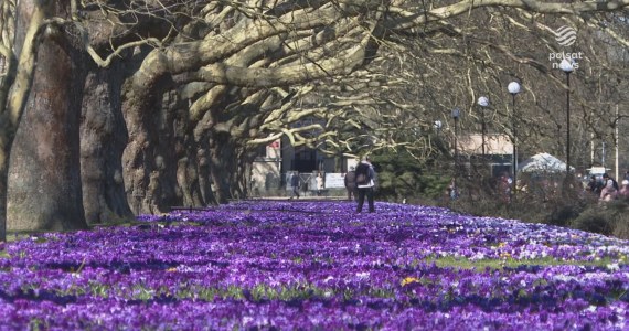 "Wydarzenia": Wiosna. Polacy tłumnie wyszli na świeże powietrze