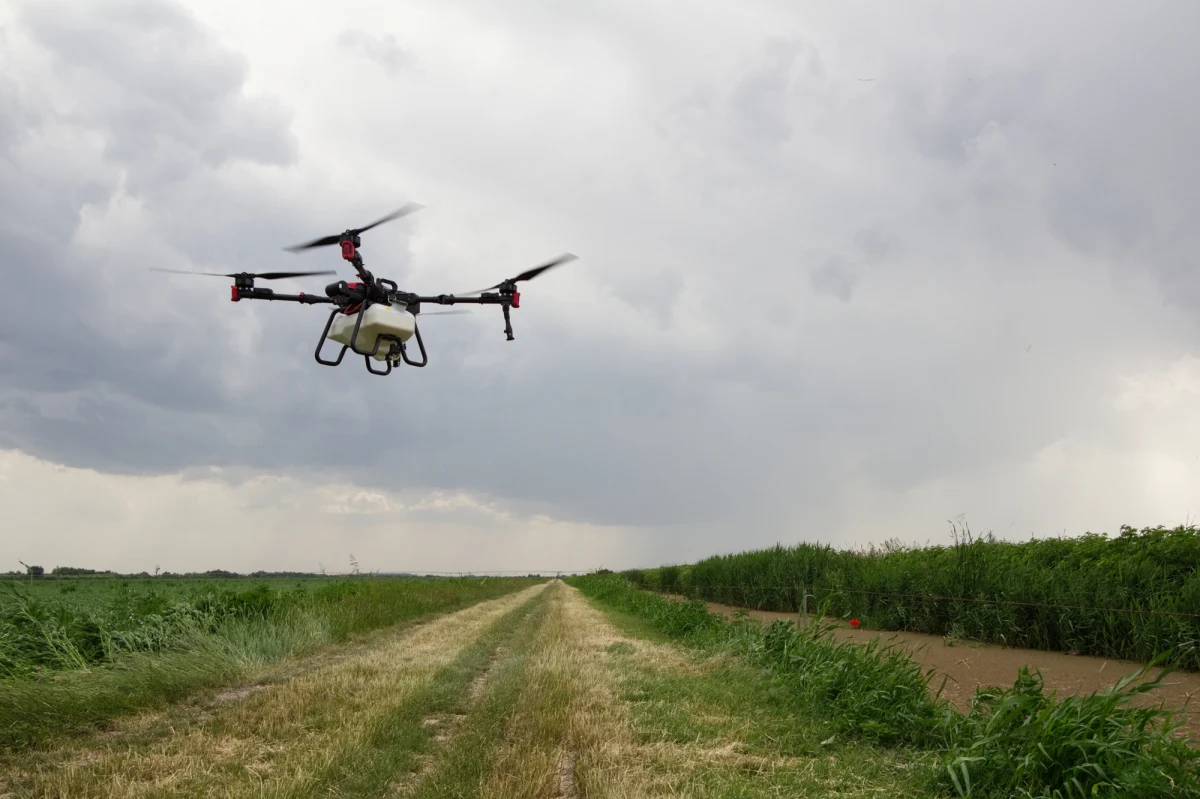 Sporo zamieszania wywołał dron, którego na polu w okolicy Koszalina w woj. zachodniopomorskim odnalazł rolnik. Do urządzenia przyczepiony był przedmiot przypominający pocisk - poinformowała Komenda Miejska Policji w Koszalinie. Okazało się, że ćwiczebny dron był własnością prywatną, miał podwieszoną makietę i nie posiadał właściwości bojowych.