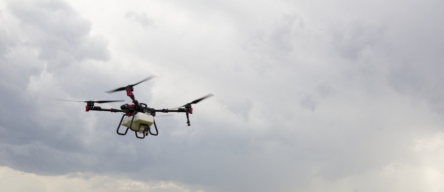 Sporo zamieszania wywołał dron, którego na polu w okolicy Koszalina w woj. zachodniopomorskim odnalazł rolnik. Do urządzenia przyczepiony był przedmiot przypominający pocisk - poinformowała Komenda Miejska Policji w Koszalinie. Okazało się, że ćwiczebny dron był własnością prywatną, miał podwieszoną makietę i nie posiadał właściwości bojowych.