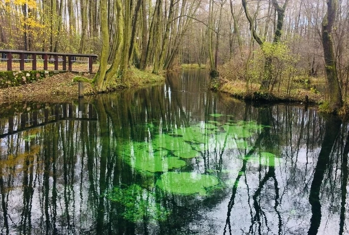 W kalendarzu początek wiosny, a przed nami pierwszy wiosenny weekend. Gdzie najlepiej się wybrać, żeby choć przez chwilę na łonie natury odpocząć od zgiełku miasta? Dziennikarze RMF FM przygotowali dla Was subiektywny wybór urokliwych miejsc w Polsce, w których 21 marca - i nie tylko - warto cieszyć się pierwszymi wiosennymi promieniami słońca. O ulubione miejsca wypoczynku zapytaliśmy też naszych słuchaczy m.in. z Warszawy, Poznania, Łodzi czy Krakowa. 