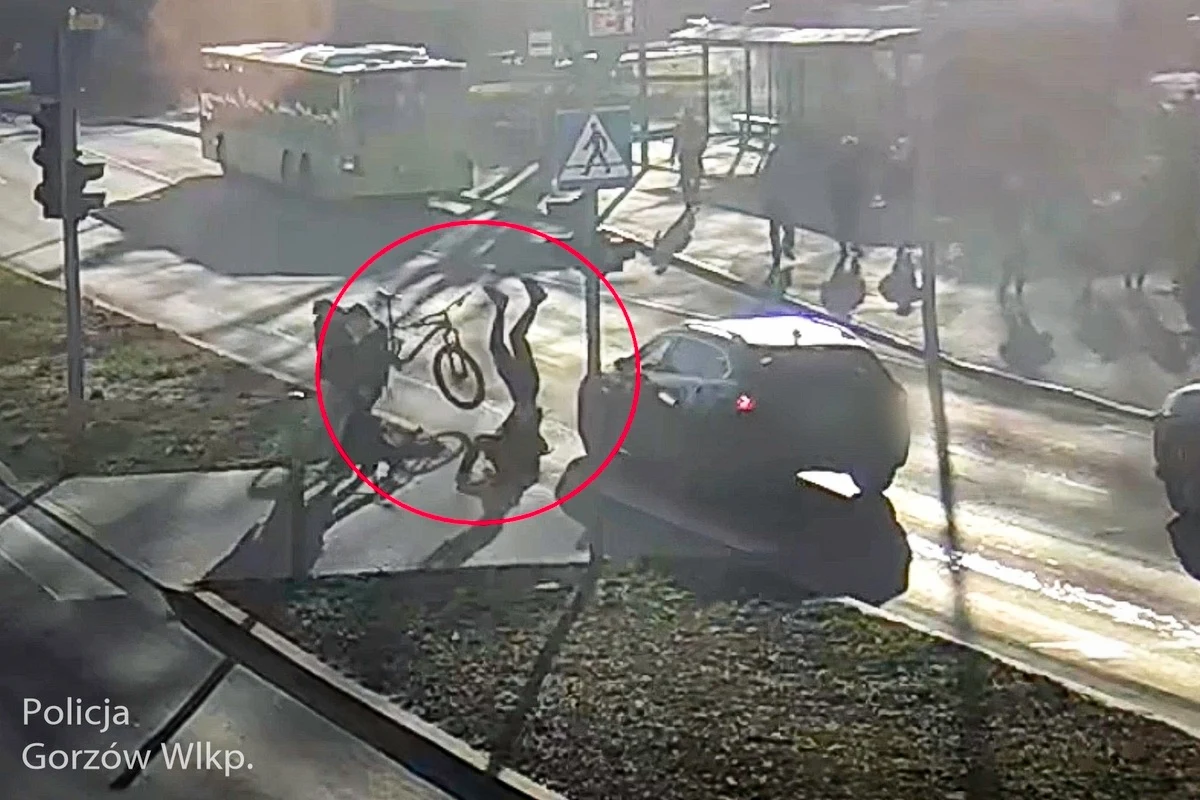 16-letni rowerzysta zignorował czerwone światło i wjechał na przejście dla pieszych. Do tego niebezpiecznego zdarzenia doszło w Gorzowie Wielkopolskim przy ulicy Jagiełły. Policja publikuje nagranie ku przestrodze.