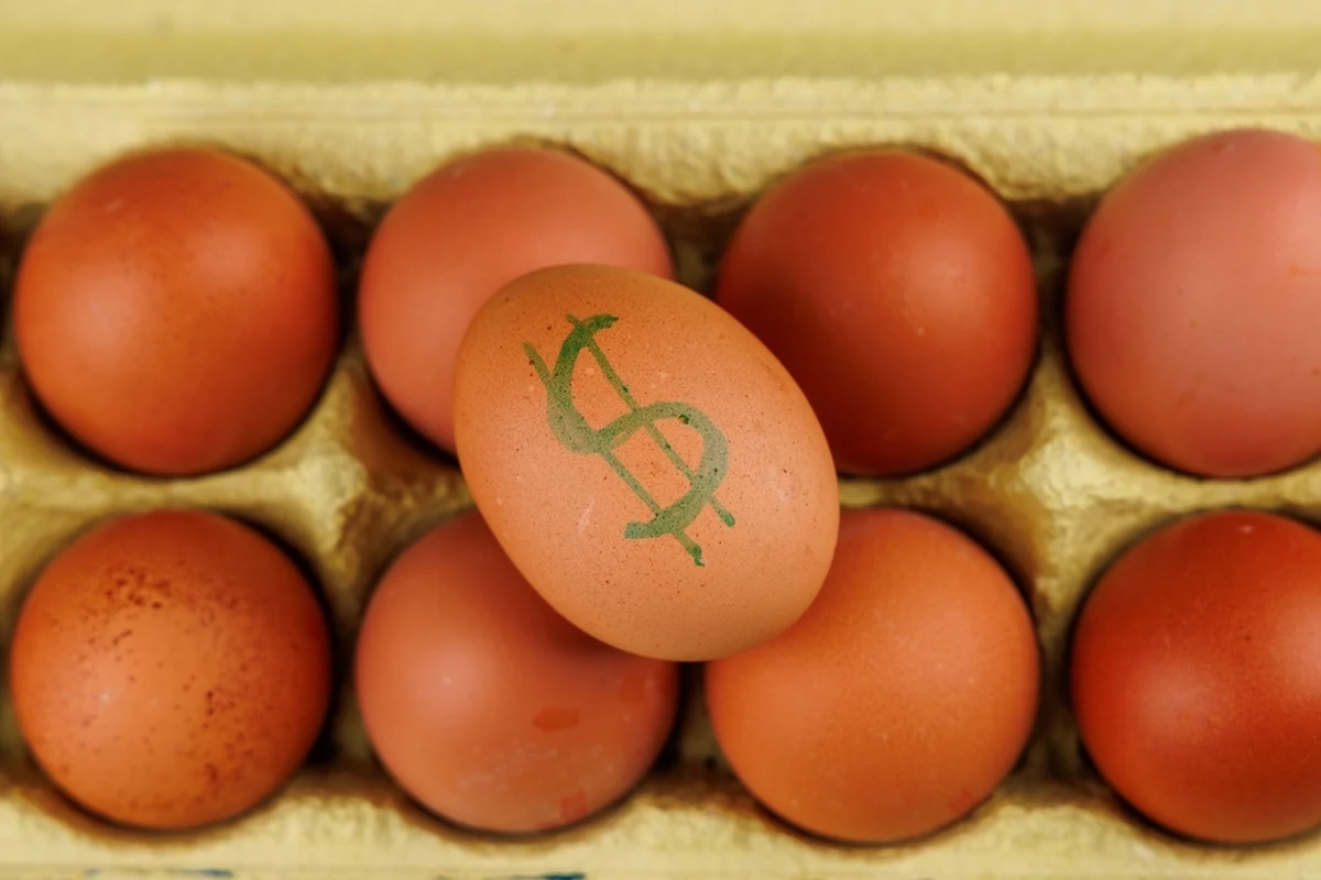 Stany Zjednoczone zwróciły się do polskich i litewskich hodowców drobiu o eksport jajek - przekazała agencja AFP, która rozmawiała z dyrektorami izb producentów drobiu tych państw. Kilka dni temu media informowały o podobnej prośbie ze strony USA wobec Niemiec.